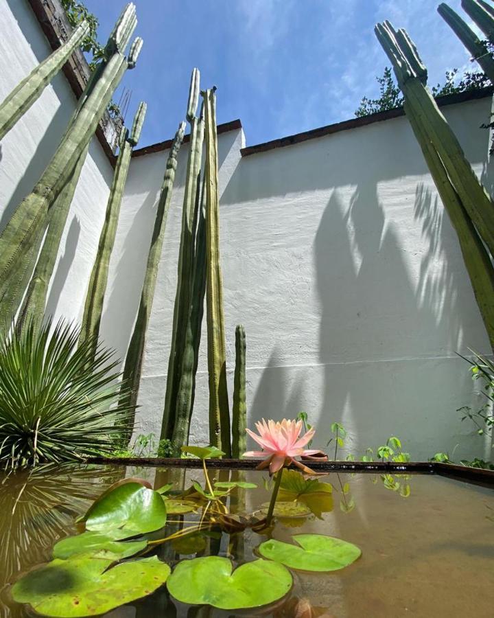 Casa Mayo B&B Oaxaca Kültér fotó