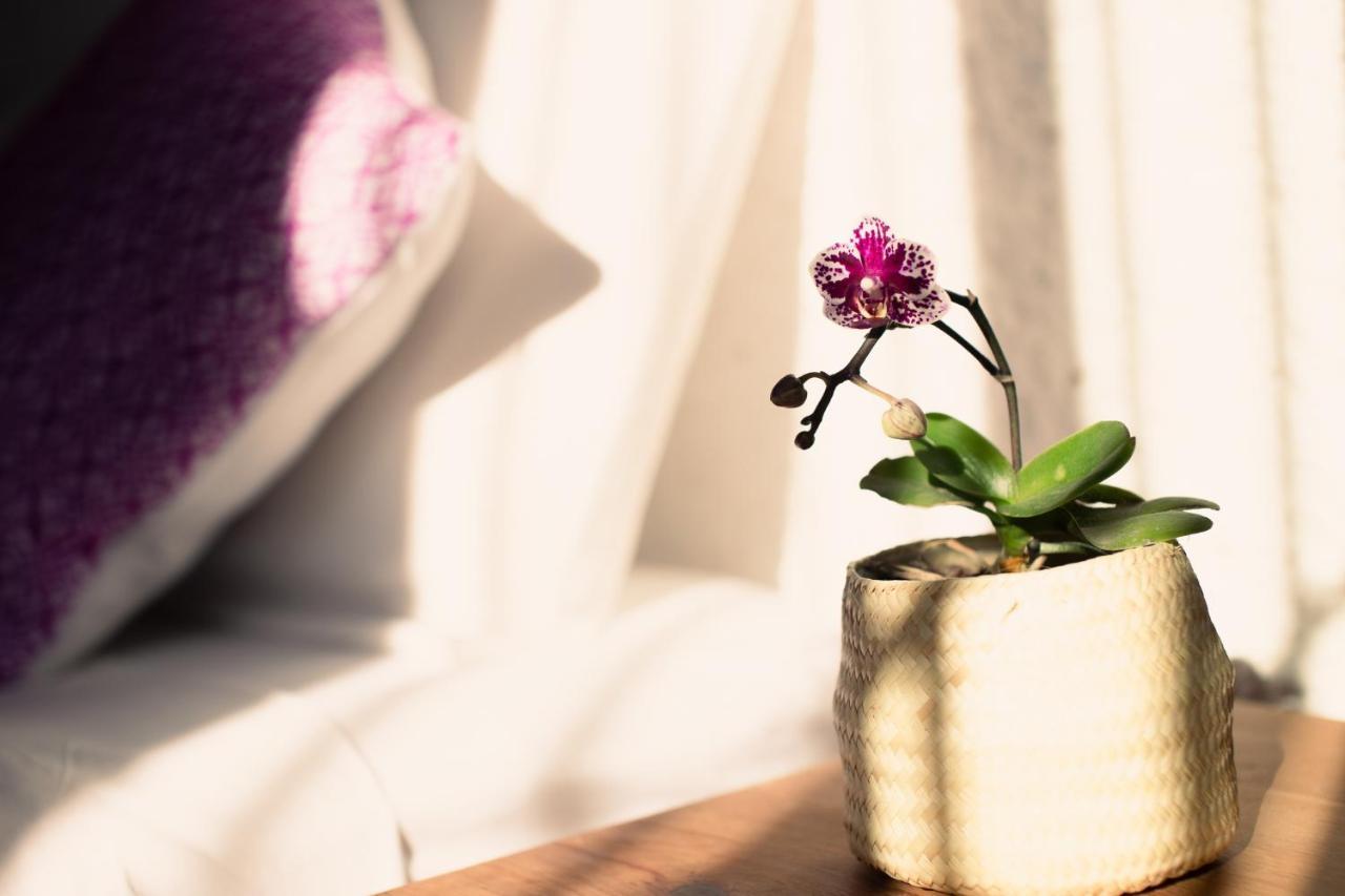 Casa Mayo B&B Oaxaca Kültér fotó