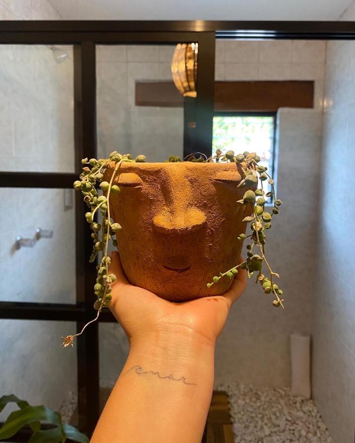 Casa Mayo B&B Oaxaca Kültér fotó