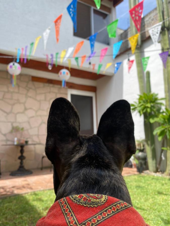Casa Mayo B&B Oaxaca Kültér fotó